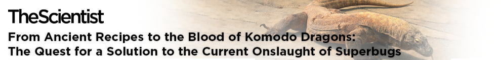 Komodo Dragon_990x120-2