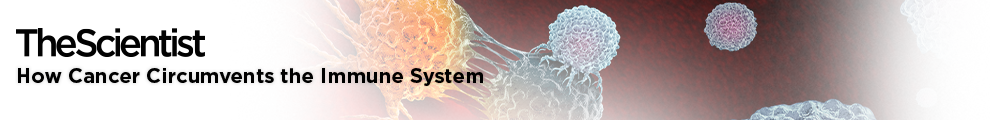 41869_TS_Cancer-Circumvents-Immune-System-Webinar_Banner_JP990x120-1