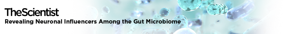 Discover how gut microbes talk to the brain 