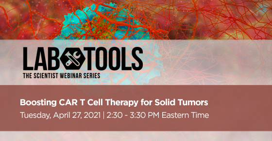 Boosting CAR T Cell Therapy for Solid Tumors