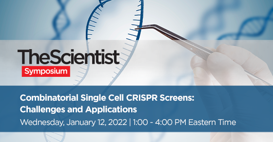 Combinatorial Single Cell CRISPR Screens: Challenges and Applications